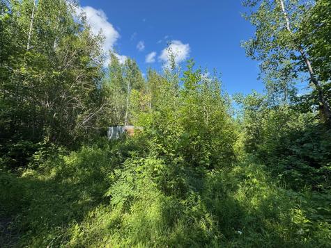 40A Bridgie Road Northome MN 56661