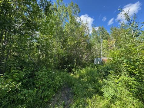 40A Bridgie Road Northome MN 56661
