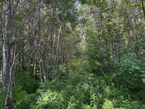 40A Bridgie Road Northome MN 56661