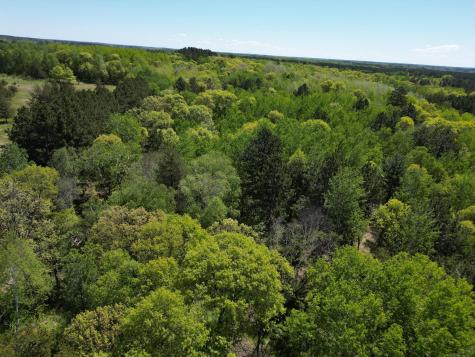 Tbd County 2 Nevis MN 56467
