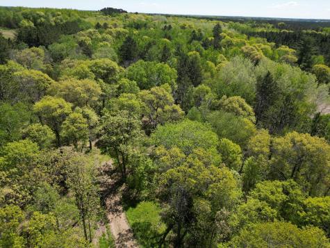 Tbd County 2 Nevis MN 56467