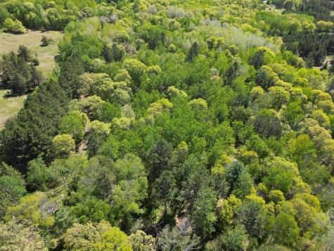 Tbd County 2 Nevis MN 56467