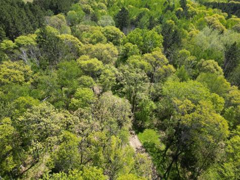 Tbd County 2 Nevis MN 56467