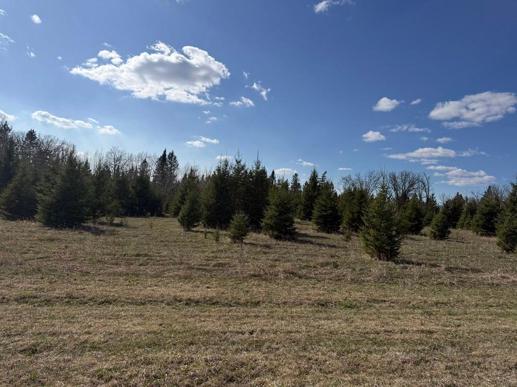 55000 Kueber Road Park Rapids MN 56470