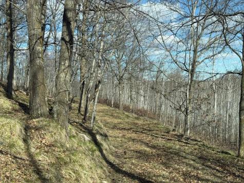 55000 Kueber Road Park Rapids MN 56470