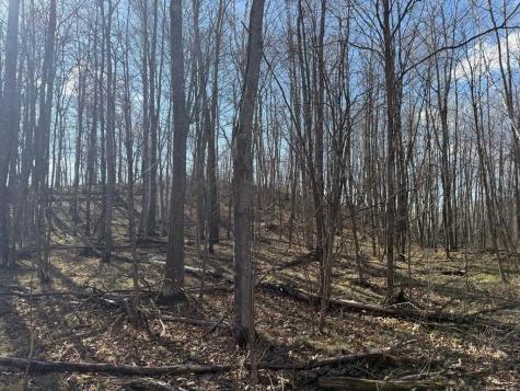 55000 Kueber Road Park Rapids MN 56470
