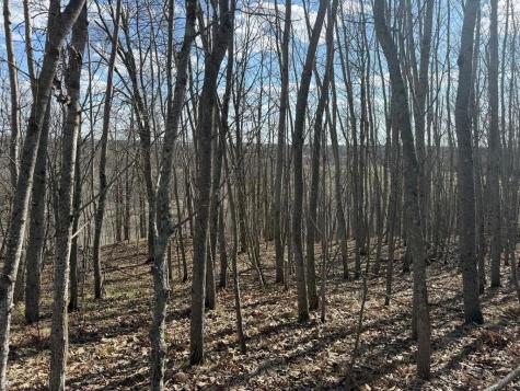 55000 Kueber Road Park Rapids MN 56470