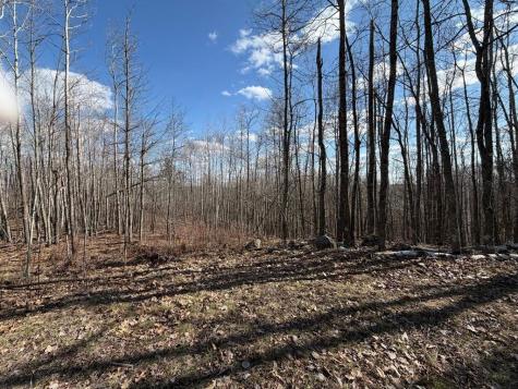 55000 Kueber Road Park Rapids MN 56470