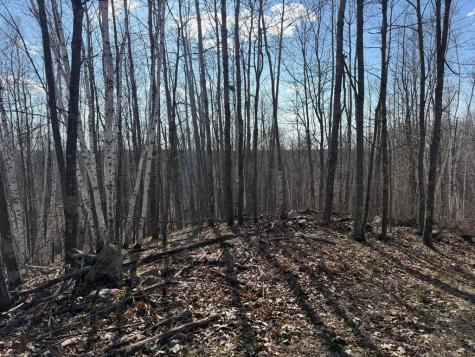 55000 Kueber Road Park Rapids MN 56470