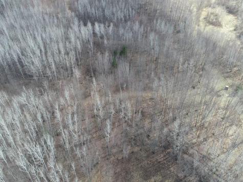 55000 Kueber Road Park Rapids MN 56470