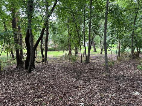 Lots 1 & 2 Mary Lane NW Brandon MN 56315
