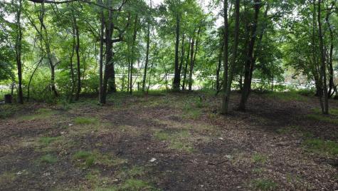 Lots 1 & 2 Mary Lane NW Brandon MN 56315