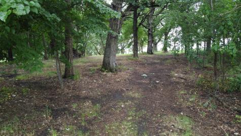Lots 1 & 2 Mary Lane NW Brandon MN 56315