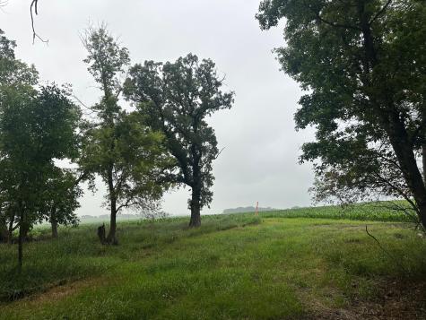 Lots 1 & 2 Mary Lane NW Brandon MN 56315