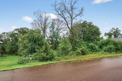 Tbd 143rd Street NW Zimmerman MN 55398