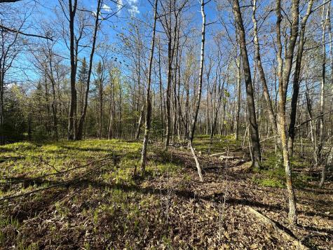Tbd #1 110th Avenue Finlayson MN 55735