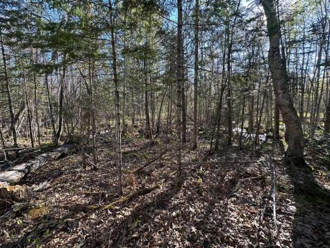 Tbd #1 110th Avenue Finlayson MN 55735