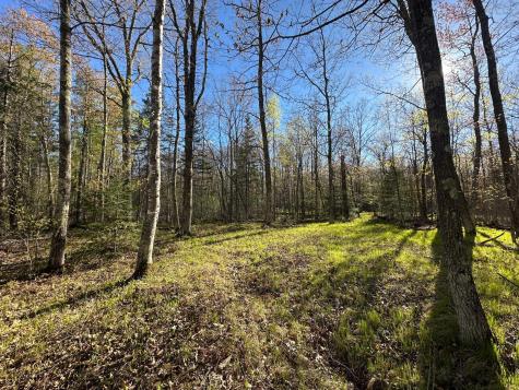 Tbd #1 110th Avenue Finlayson MN 55735
