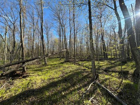 Tbd #1 110th Avenue Finlayson MN 55735