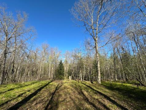 Tbd #1 110th Avenue Finlayson MN 55735