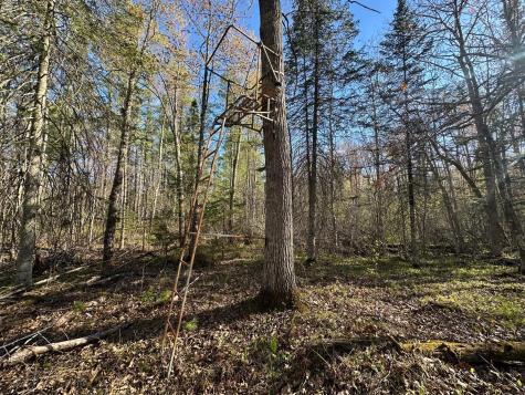 Tbd #1 110th Avenue Finlayson MN 55735