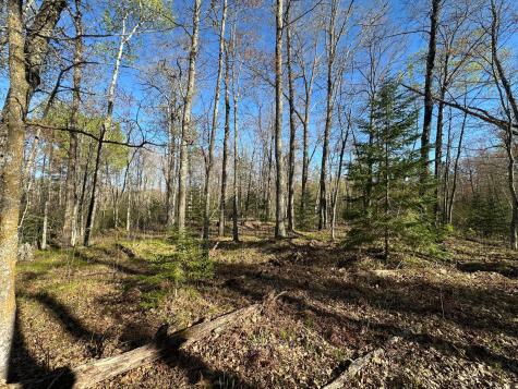 Tbd #1 110th Avenue Finlayson MN 55735