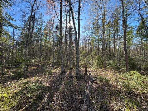 Tbd #1 110th Avenue Finlayson MN 55735