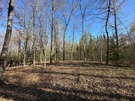 Tbd #1 110th Avenue Finlayson MN 55735