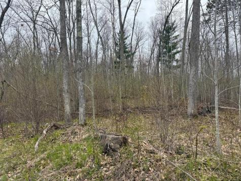Tbd Foss Lane Spooner WI 54801