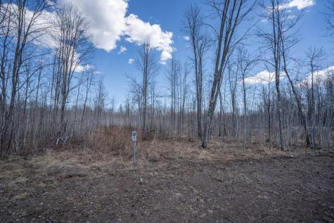 60XX Rycor Lane Lot 7 Duluth MN 55811