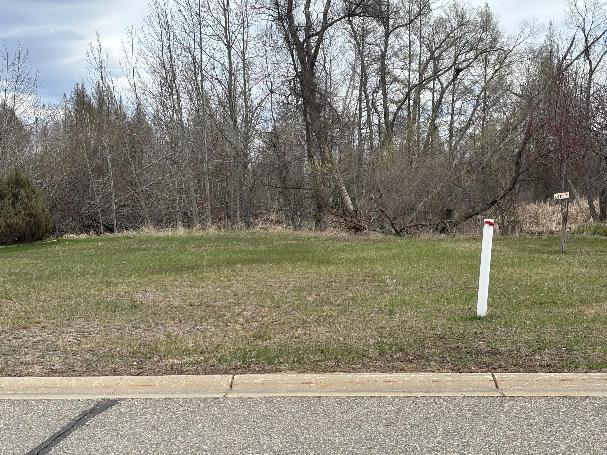 Lot 17 Irvine Avenue NW Bemidji MN 56601