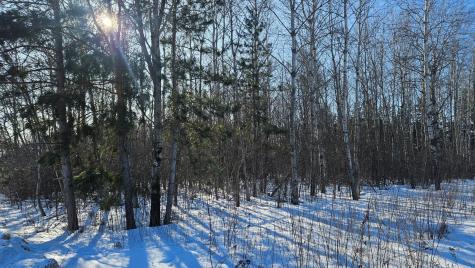 Tbd Oak Street Brainerd MN 56401