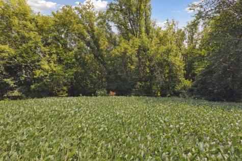 24X3 Holy Name Drive Medina MN 55340