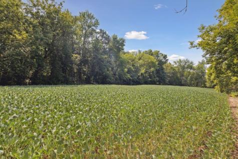 24X3 Holy Name Drive Medina MN 55340