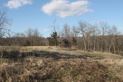 Xxxxc Kings Park Road NW Oronoco Twp MN 55960