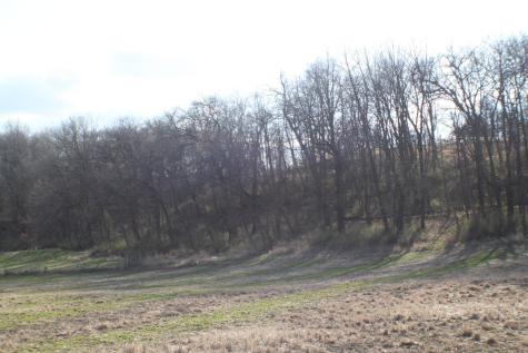 Xxxxc Kings Park Road NW Oronoco Twp MN 55960