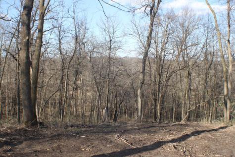 Xxxxc Kings Park Road NW Oronoco Twp MN 55960