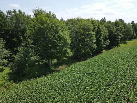 Tbd County Road M Ogema WI 54459