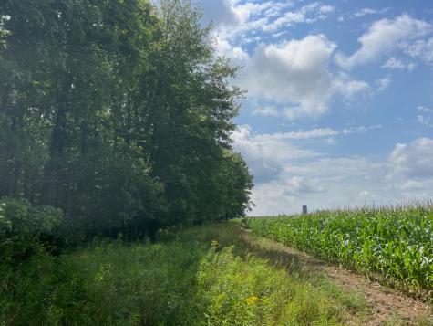 Tbd County Road M Ogema WI 54459