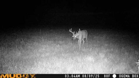 Tbd County Road M Ogema WI 54459