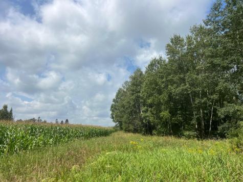 Tbd County Road M Ogema WI 54459