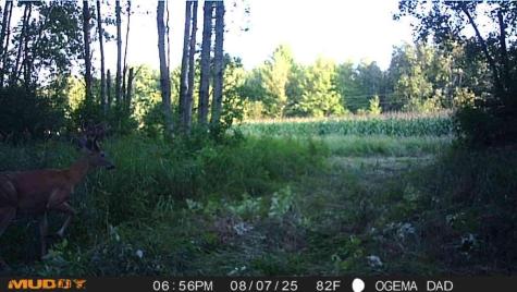 Tbd County Road M Ogema WI 54459