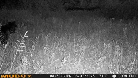 Tbd County Road M Ogema WI 54459