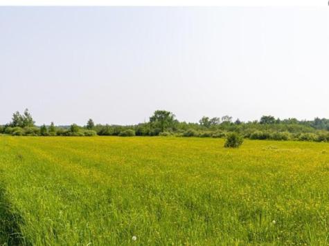 W74TBD Homestead Road Conrath WI 54731