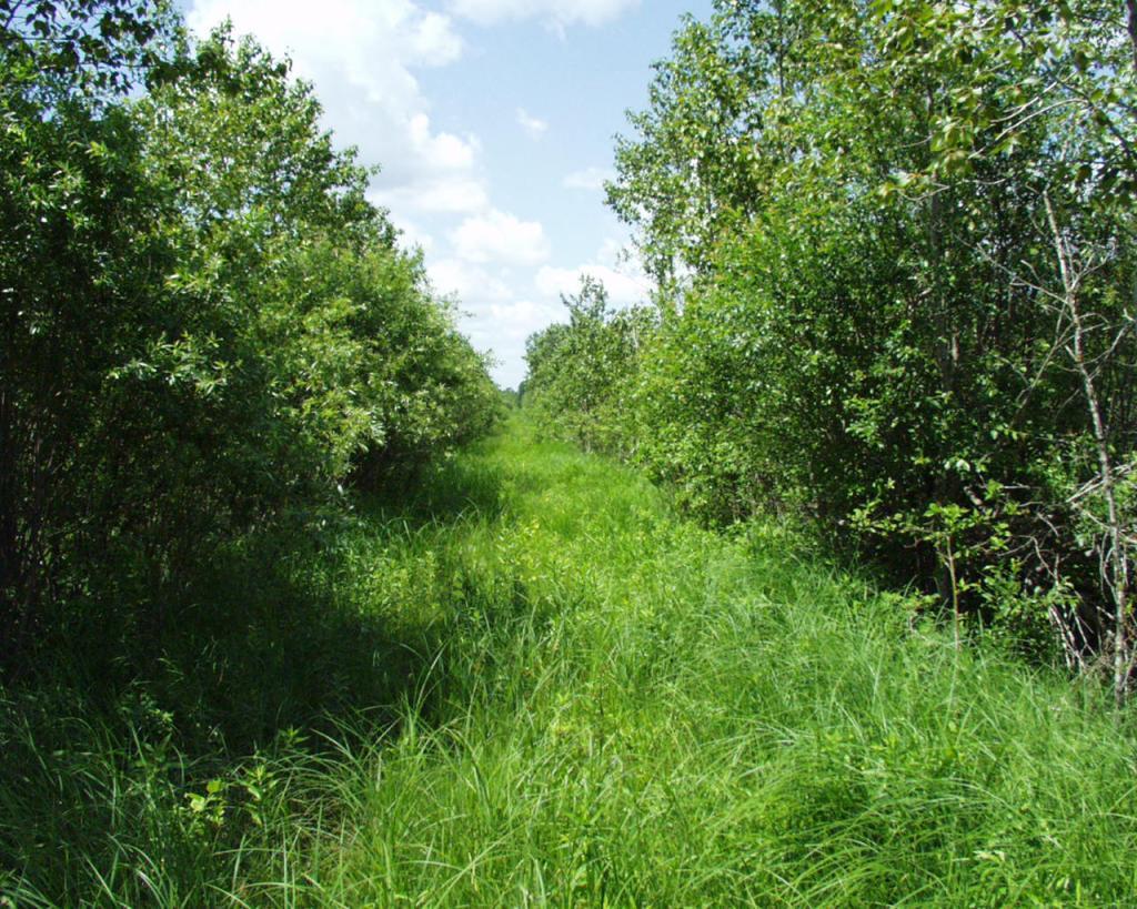 72001 NW Dicks Parkway Grygla MN 56727