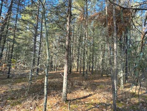 Tbd Wildwood Avenue Nevis MN 56467