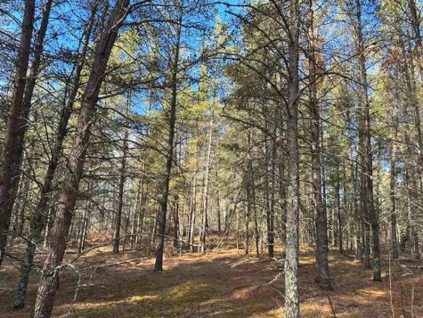 Tbd Wildwood Avenue Nevis MN 56467