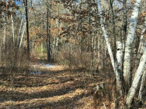 Tbd Wildwood Avenue Nevis MN 56467