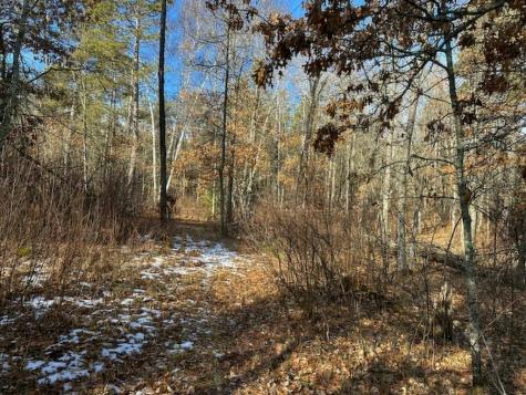 Tbd Wildwood Avenue Nevis MN 56467
