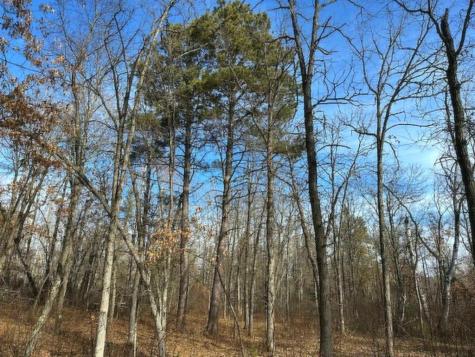 Tbd Wildwood Avenue Nevis MN 56467